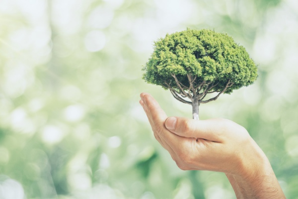 Ecomondo 2022: mondo green e sostenibilità!